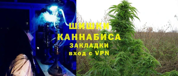 гашик Алексеевка