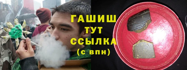 гашик Алексеевка