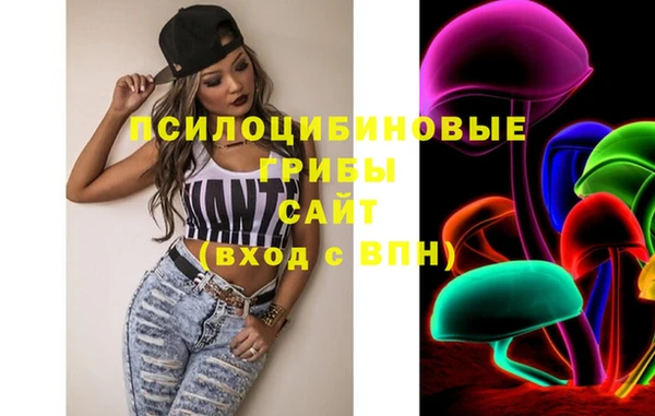 гашик Алексеевка