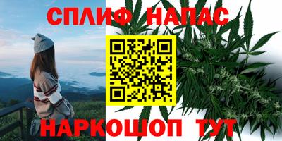 мдма Кингисепп