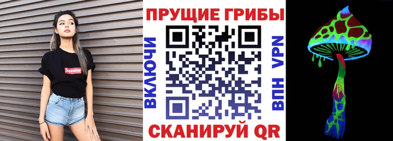 OMG онион  Канаш  Псилоцибиновые грибы Magic Shrooms 