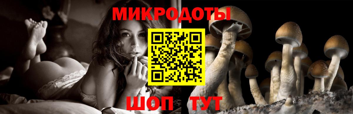 Галлюциногенные грибы Magic Shrooms  Псилоцибиновые грибы Psilocybine cubensis  Вход с VPN  Канаш 